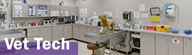 Vet Tech